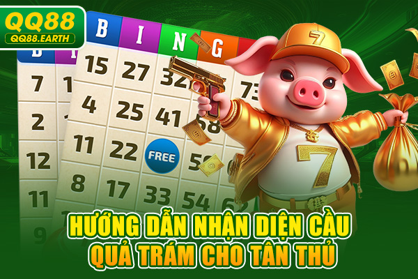 Hướng dẫn nhận diện cầu quả trám cho tân thủ